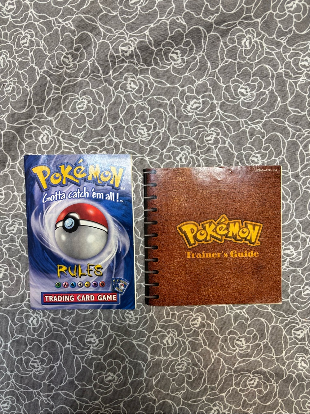 Nintendo Pokémon Trainer's Guide & Rules Booklets - Brown and Blue